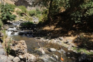 «Քոսոտ» երկիրը գիտություն չի ունենում, տնտեսություն չի ունենում…